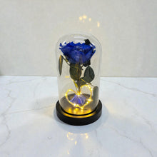 BEAUTY DOME with light - Rose that lasts 1-3 Years!