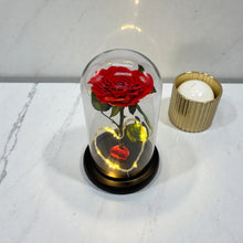 BEAUTY DOME with light - Rose that lasts 1-3 Years!