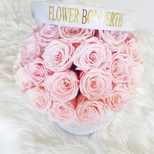 DREAM - Roses that can last up to 1 yr (SOLD OUT)