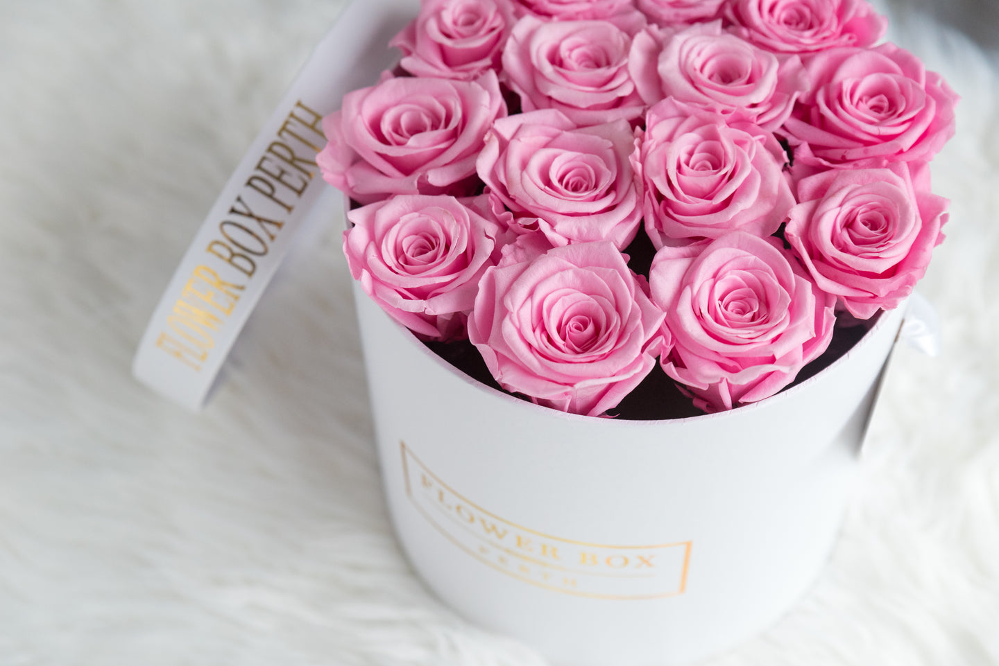 MAGICAL - Roses that can last up to 1 yr (SOLD OUT)