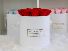 MAGICAL - Roses that can last up to 1 yr (SOLD OUT)