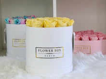 MAGICAL - Roses that can last up to 1 yr (SOLD OUT)