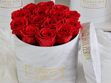 MAGICAL - Roses that can last up to 1 yr (SOLD OUT)