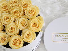 MAGICAL - Roses that can last up to 1 yr (SOLD OUT)