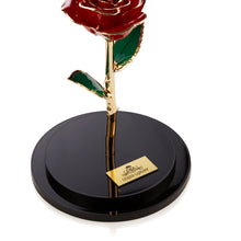 EVERLASTING BEAUTY 24K Gold (SOLD OUT)