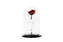 EVERLASTING BEAUTY 24K Gold (SOLD OUT)