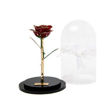 EVERLASTING BEAUTY 24K Gold (SOLD OUT)