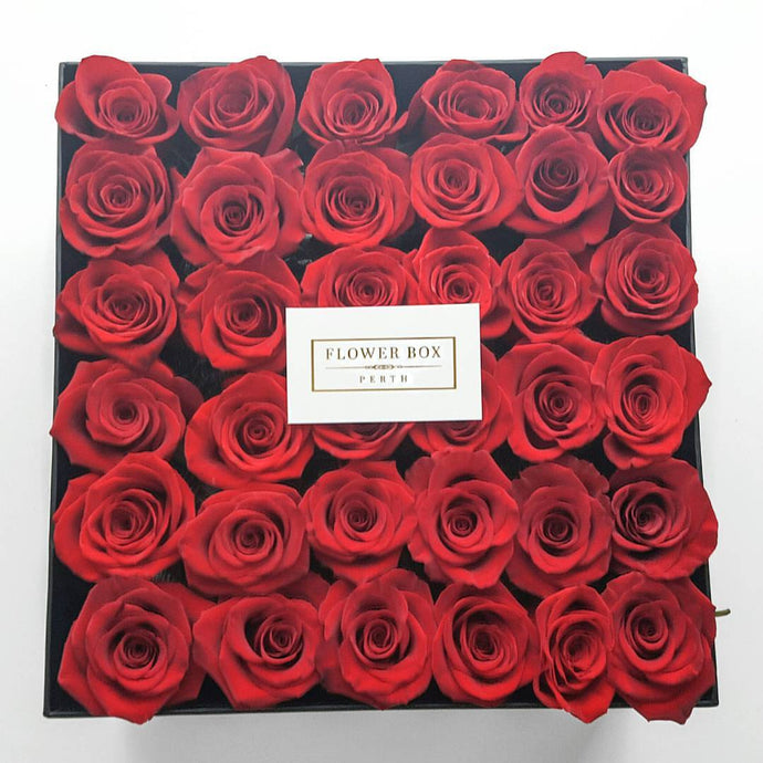 ROYAL  - Roses that last up to 1 yr (SOLD OUT)